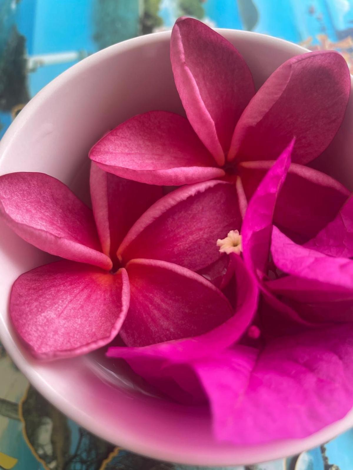 Studio Hibiscus Anse Des Rochers Saint Francois Luaran gambar