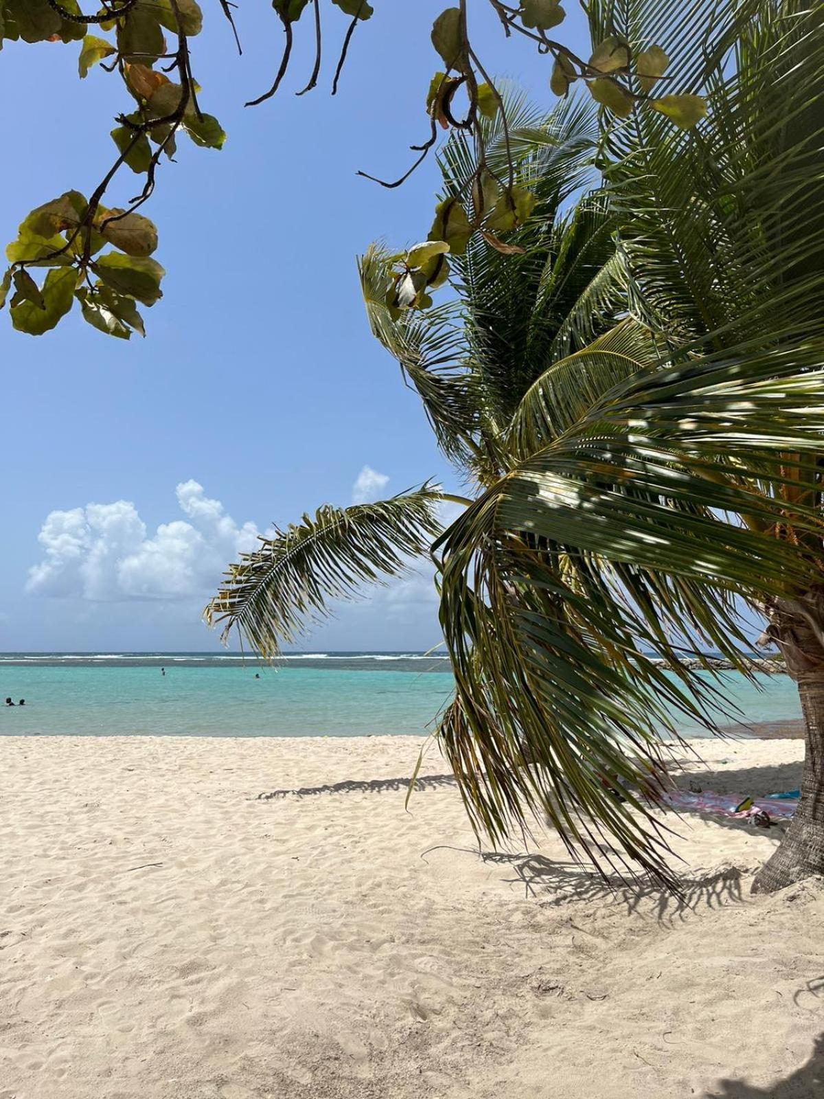Studio Hibiscus Anse Des Rochers Saint Francois Luaran gambar