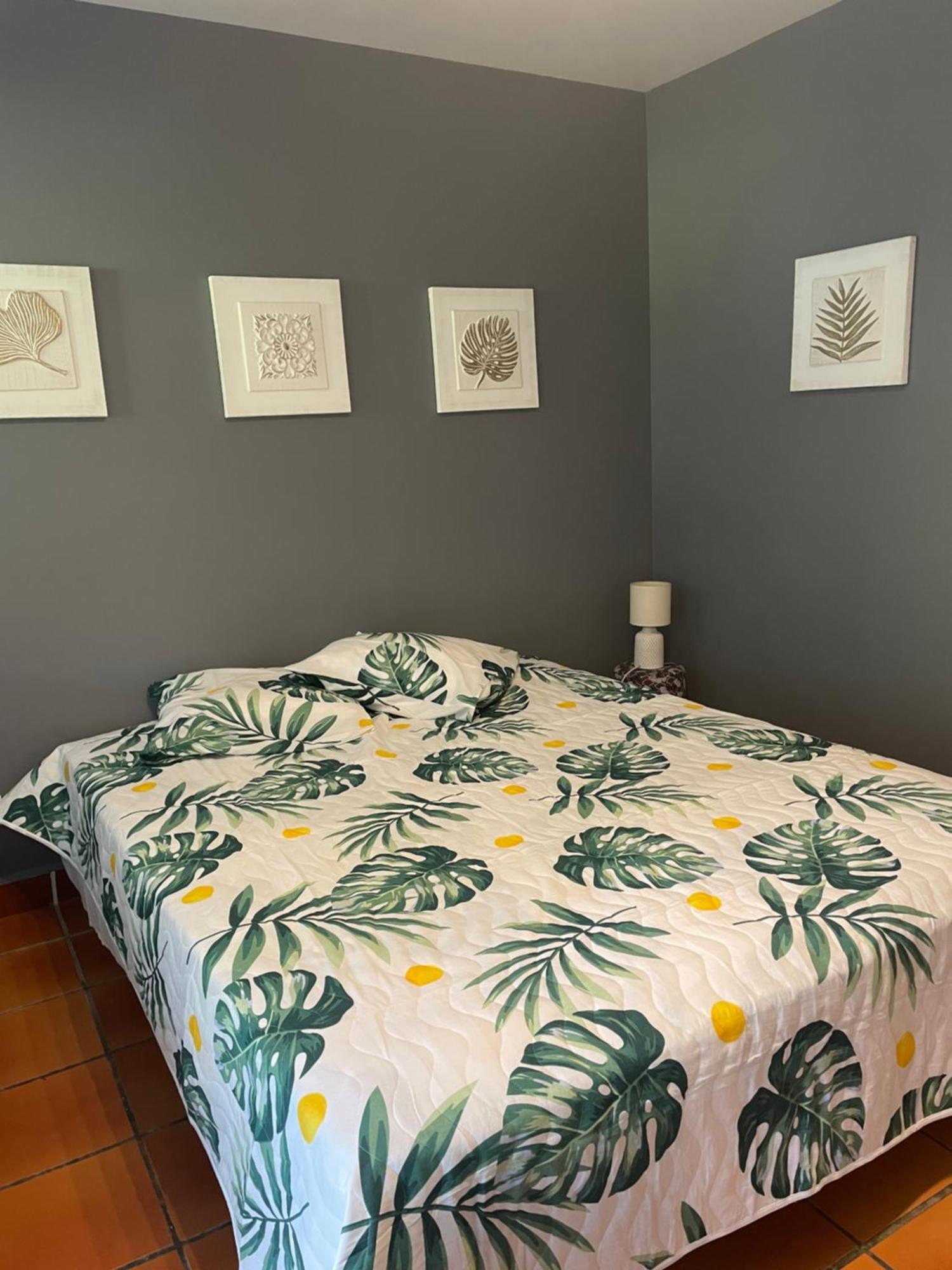 Studio Hibiscus Anse Des Rochers Saint Francois Luaran gambar